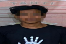 Kebakaran Lahan Sawit di Sridamai, Polisi Sita Bibit dan Kayu Bekas Terbakar
