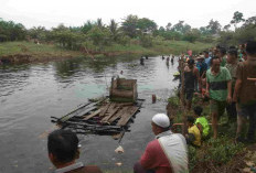 Pemekaran Wilayah Sumatera Selatan: Musi Rawas di Tengah Wacana Dua Provinsi Baru, Potensi Ekonomi Jadi Sorota