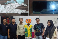 Oknum Juru Parkir Lakukan Kekerasan Seksual Kepada Pelajar dan Pemerasan Orang Tua Saksi, Endingnya Begini ! 