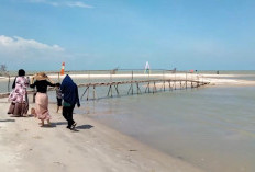 Pemekaran Wilayah Sumatera Selatan: Wacana Pembentukan Kabupaten Pantai Timur Siap Catat Sejarah Baru