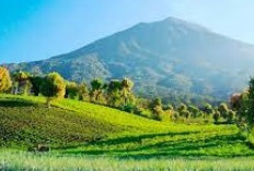 Pemekaran Wilayah Jawa Tengah: Wacana Pembentukan Empat Kabupaten dan Kota Baru Jawab Tantangan Publik