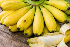 Pisang, Buah yang Disebut dalam Al-Qur'an dan Kaya Manfaat bagi Kesehatan
