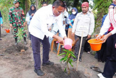 Peringati Hari Lingkungan Hidup Sedunia 2026, Pemkot Prabumulih Bagikan Bibit dan Gelar Aksi Tanam Pohon 