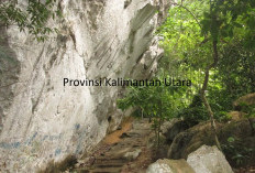 Pemekaran Wilayah Kalimantan Utara: Wacana Pembentukan Empat Kabupaten dan Kota dengan Kekayaan Hayati Melimpa