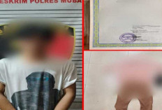 Rudapaksa Anak Bawah Umur, Warga Sekayu diamankan