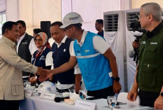 Danantara Sinergikan BUMN Bangun Huntara di Aceh Tamiang, PLN Sambung Listrik untuk Semua Rumah dan Fasum