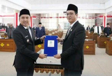 Begini Kata Panca Soal APBD 2026 Ogan Ilir hingga Progres MBG