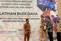 Dari Bibit hingga Panen, Kunci Produktivitas Sawit Rakyat OKU Ada di Budidaya