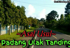 Pemekaran Wilayah Bengkulu: Wacana Pembentukan Kabupaten Lembak Padang Ulak Mendapat Sambutan Positif