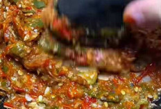 Cara Buat Sambal Terong Tanpa Minyak, Pilihan Sehat yang Tetap Nendang di Lidah