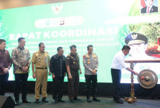 Gubernur Herman Deru Tegaskan Pencegahan Jadi Kunci Penanganan Pencurian TBS Sawit di Sumsel