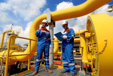 Perkuat Inovasi Transisi Energi, PGN Raih Platinum Award InTechSEA 2026