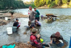 Sempat Mendadak Ramai Diserbu Warga, Aktivitas Tambang Emas di Sungai Ogan OKU Kini Mendadak Sepi