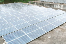 Investasi Asing di Kawasan Industri Butuh Listrik Hijau