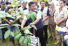 Gubernur Herman Deru Ingatkan Bahaya Karhutla dan Perubahan Iklim di Festival Kehutanan UIN Raden Fatah