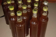 Manfaat Madu untuk Kesehatan: Rahasia Alami Tingkatkan Imunitas dan Energi Tubuh