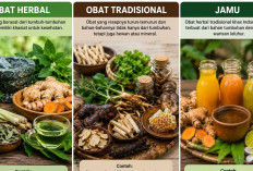 Serupa Tapi Tak Sama, Ini Perbedaan Obat Herbal, Obat Tradisional dan Jamu