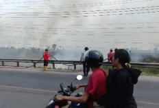 Asap Tebal Selimuti Jalintim Palembang–Indralaya, 10 Hektare Lahan di Ogan Ilir Terbakar
