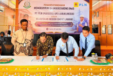 PLN Gandeng Kejari Empat Lawang untuk Perkuat Kepastian Hukum, Layanan Kelistrikan Ditargetkan Makin Andal