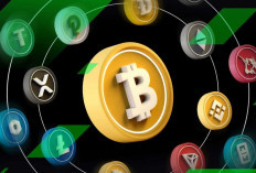 Menelusuri Perjalanan Bitcoin: 4 Coin yang Patut Diperhatikan Para Investor di Tahun 2024