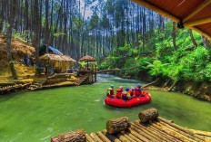 Pemekaran Wilayah Jawa Barat: Wacana Pembentukan 25 Kabupaten dan Kota Baru untuk Efisiensi Pemerintahan