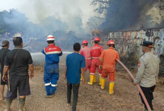 Sekitar 10 Hektare Lahan Terbakar, Tim Gabungan Berjibaku Jinakkan Api 