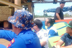 Perusahaan Siap Perbaiki Fender Jembatan Sungai Lilin Usai Ditabrak Tongkang