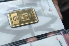 Harga Emas Antam Ambruk, Turun Rp260.000 Sehari. Berikut Daftar Harga Antam Sabtu (31/1/2026)