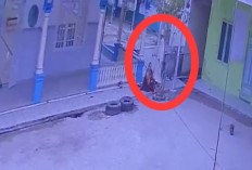 Breaking News ; Warga Martapura Digegerkan Pembunuhan Sadis, di Teras Masjid dan Disaksikan Santri