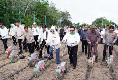 Perkuat Sinergi dengan Pusri Hadirkan Temu Kader dan Pelatihan HKTI se- Provinsi Jambi 
