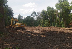 Pertanyakan Proses Pembangunan Jalan Diduga Hauling Batu Bara