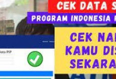 Bansos 2026: 9 Penyebab BPNT dan PKH Tak Cair Alias Saldo Nol, Ini Penjelasan Lengkapnya