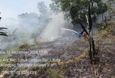 54 Kali Karhutla Terjadi di Lubuklinggau, 22 Hektare Lahan Terbakar
