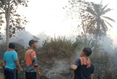 Karhutla Melanda 10 Hektare Lahan Pemadaman Terkendala Akses dan Sumber Air