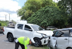 Gagal Nyalip, Avanza-Hilux Adu Kambing