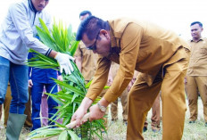 Langkah Strategis Dorong Ketahanan Pangan, Tingkatkan PAD, dan Perkuat Ekonomi Kerakyatan