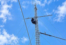 Perkuat Keandalan Sistem Kelistrikan, PLN Rekondisi Tower Telekomunikasi di Delapan Lokasi Strategis