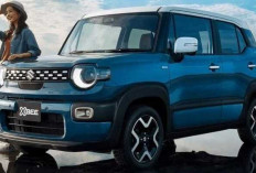 Bergaya Crossover Mini, Akankah Suzuki XBee Geser Dominasi Honda Brio?
