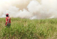 Puluhan Personel dan Excavator Dikerahkan, PT RHM Kendalikan Kebakaran Lahan