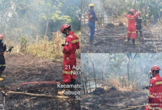 PTBA Aktif Bantu Penanganan Karhutla, Perkuat Respons Cepat dan Kolaborasi