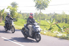 Cuaca Panas Ekstrem? Pastikan Tekanan Ban Motor Sesuai Standar untuk Berkendara Aman