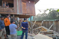 Rumah Warga Longsor di Lais, Bupati HM Toha Perintahkan Penanganan Darurat dan Bantuan Korban
