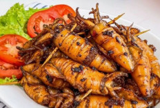 Cumi Bakar Jimbaran, Cita Rasa Laut Bali yang Menembus Pasar Nasional