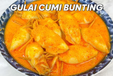 Kuliner Unik, Cumi Bunting Gulai Kian Digemari Masyarakat
