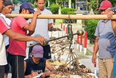 Harga Karet Tembus Rp26.000 Perkg di Tanjung Manggus