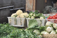 Mengenal Desa BRILian Sumowono, Desa Sayur yang Tumbuh dan Terus Berinovasi Bersama BRI 