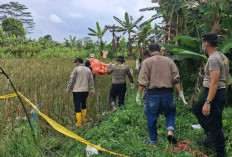 Mayat Perempuan Tanpa Identitas Ditemukan di Pinggir Sawah Desa Merah Mata Banyuasin