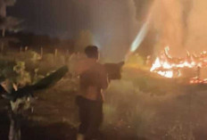Karhutla Dekat Permukiman Warga, BPBD Muba Berhasil Kendalikan Api dalam Dua Jam