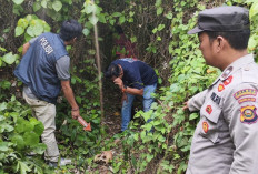 Hilang Sebulan, Lansia di OKU Ditemukan Tinggal Tengkorak