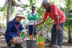 Dorong Produktivitas Pertanian, Pusri Tingkatkan Edukasi Pemupukan Berimbang